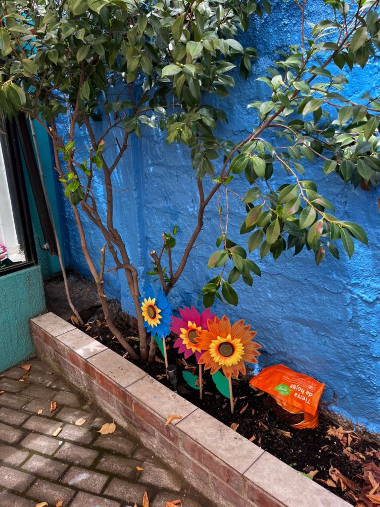 WhatsApp Image 2026-01-26 at 2.58.39 PM